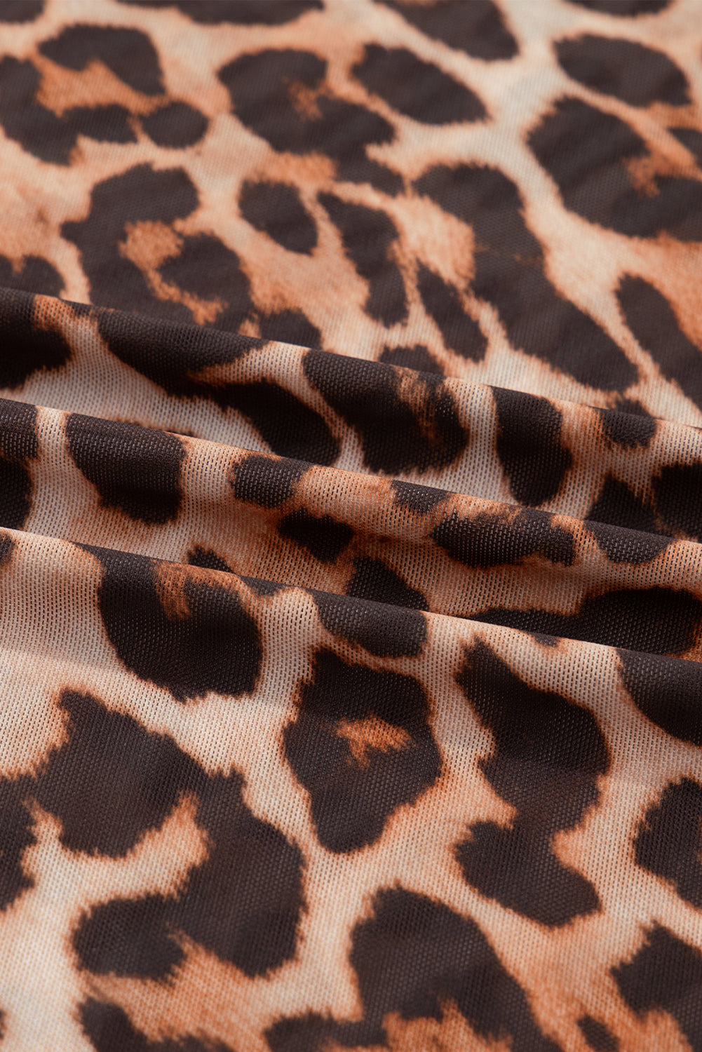 Valentina | Leopard Print Mesh Long Sleeve Top